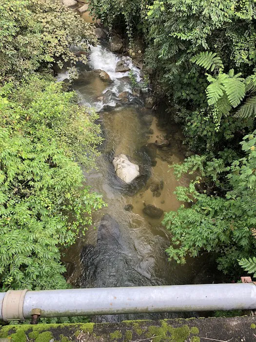 Kedondong Waterfall Picture 7
