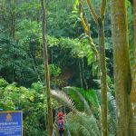 Taman Rimba Bukit Kerinchi Roundabout