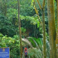 Taman Rimba Bukit Kerinchi Roundabout ico