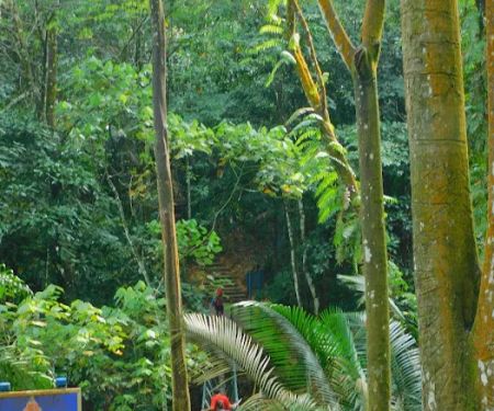 Taman Rimba Bukit Kerinchi Roundabout