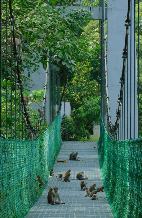 Taman Rimba Bukit Kerinchi Roundabout Picture 9