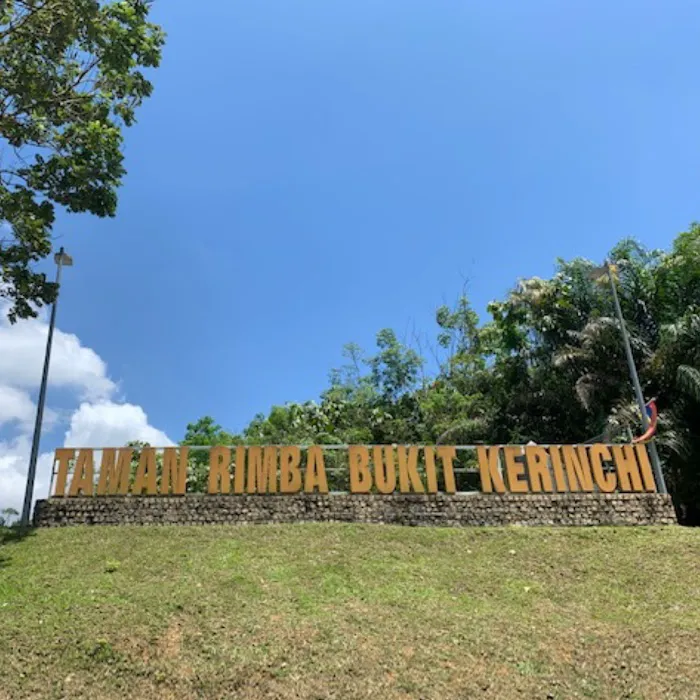 Taman Rimba Bukit Kerinchi Roundabout Picture 8