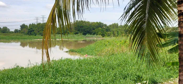 Kuala Renggam Picture 2