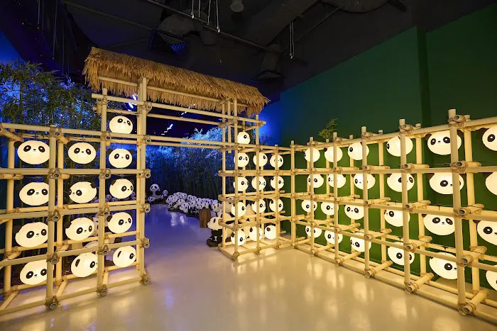 Dreamers' Playground Picture 9