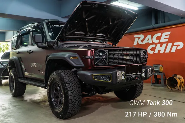 RaceChip Chiptuning Malaysia Picture 5