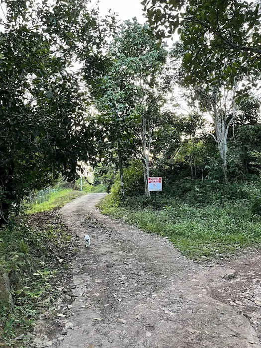 Piece Of Land Picture 1