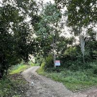 Piece Of Land ico