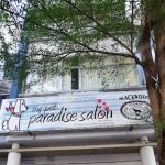 My Pet Paradise Saloon