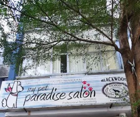 My Pet Paradise Saloon