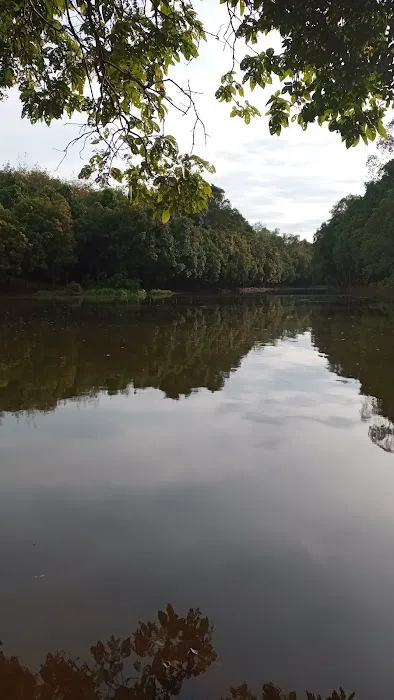 Taman Rekreasi Tasik Chatin Mentakab Picture 2