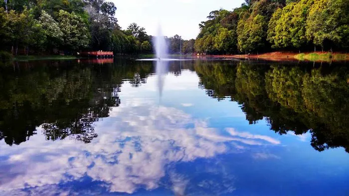 Taman Rekreasi Tasik Chatin Mentakab Picture 3