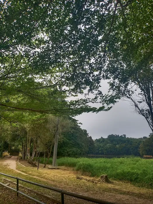 Taman Rekreasi Tasik Chatin Mentakab Picture 10