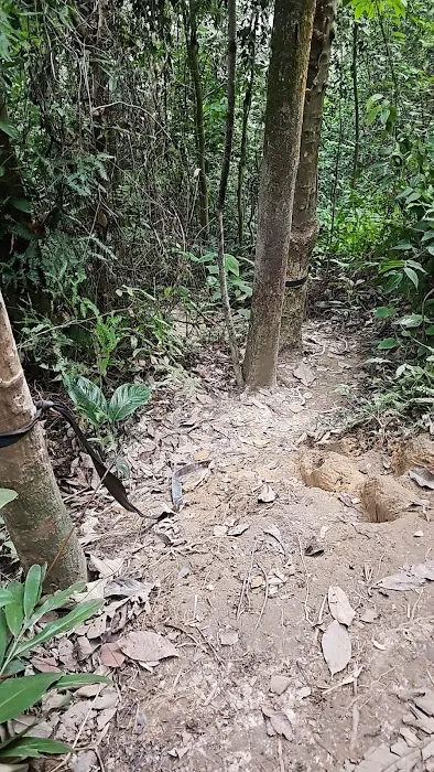Black Rope Picture 1