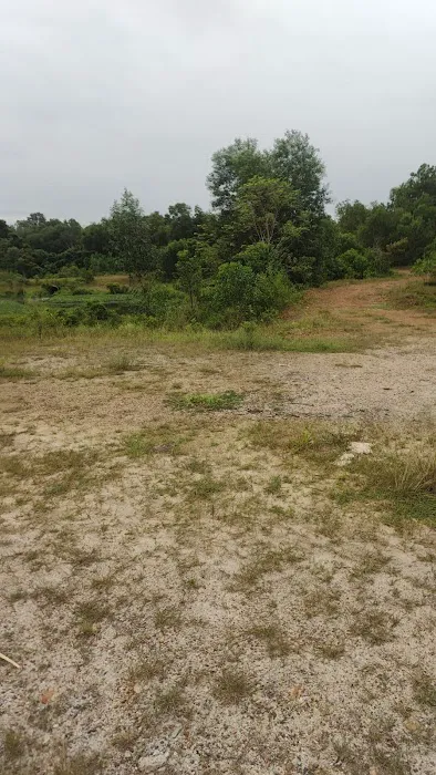 Hill park 3 Picture 5