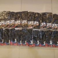 Esping Corporation Sdn. Bhd. (MY) ico