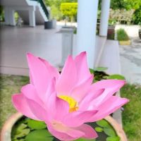 Taman Perumahan. ico