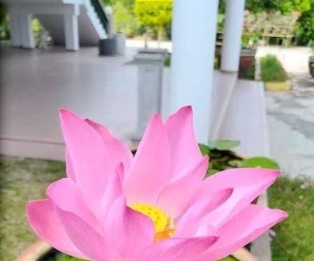 Taman Perumahan.