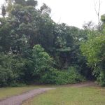 Peak of Taman rakyat
