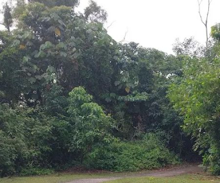 Peak of Taman rakyat