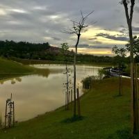 Emerald Central Park ico