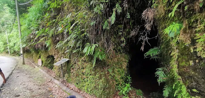 Kolong Pahat 3 (Terowong Lombong) Sungai Lembing Picture 6