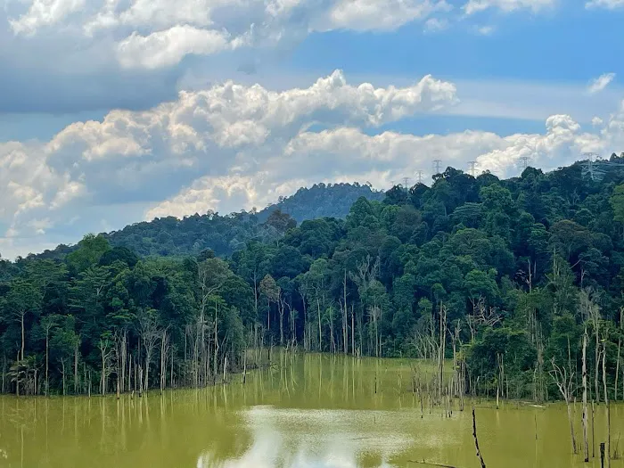 Sungai Long Lake View Picture 4