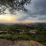 Sungai Long Lake View