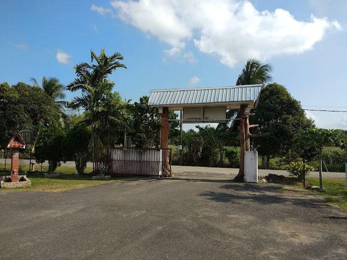 Masjid Nurul Hilal Kampung Salong Picture 2