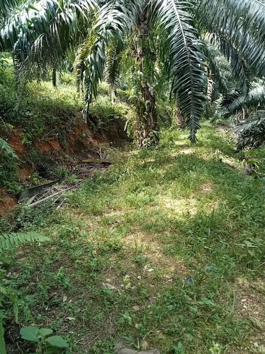 Bukit pengasih Picture 1