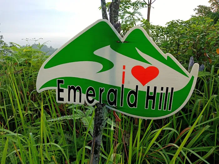 Emerald Hiking Spot Picture 6