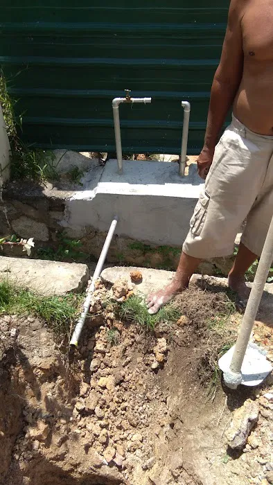 City Green Farm Picture 4