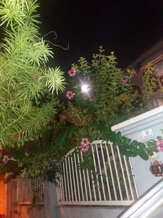 City Green Farm Picture 3
