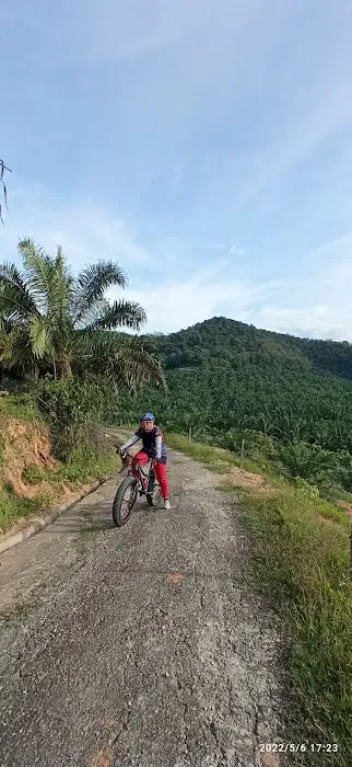 Bukit Menara Picture 3