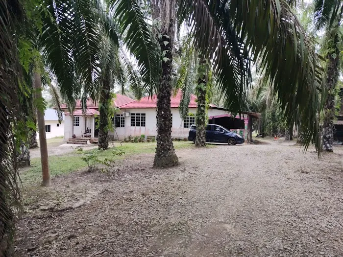Latip Fatimah Picture 3