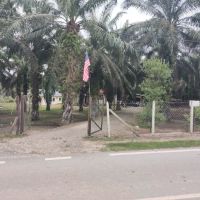 Latip Fatimah ico