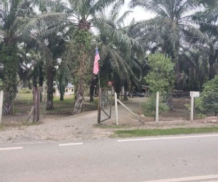 Latip Fatimah