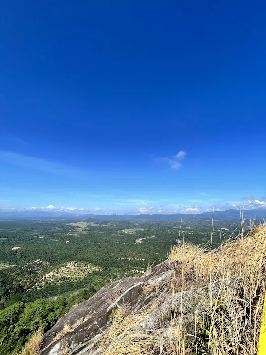 Bukit Batu Beras Trailhead Picture 5