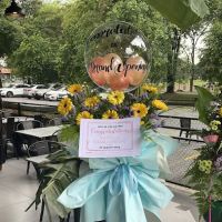 MyFloraland (Floraland) ico