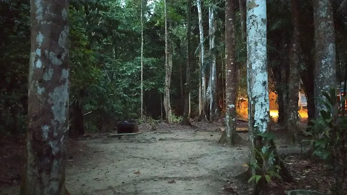 Bukit Chenuang Trailhead Picture 5