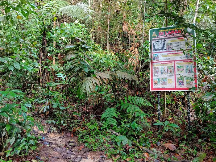Bukit Chenuang Trailhead Picture 2