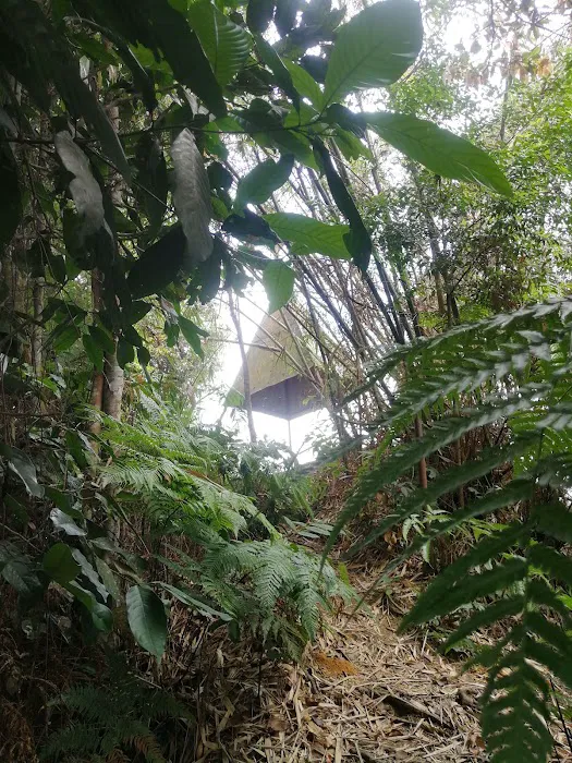 Bukit Chenuang Trailhead Picture 4