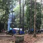 Bukit Chenuang Trailhead