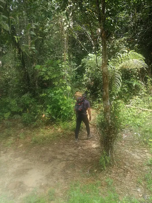 Bukit Chenuang Trailhead Picture 10