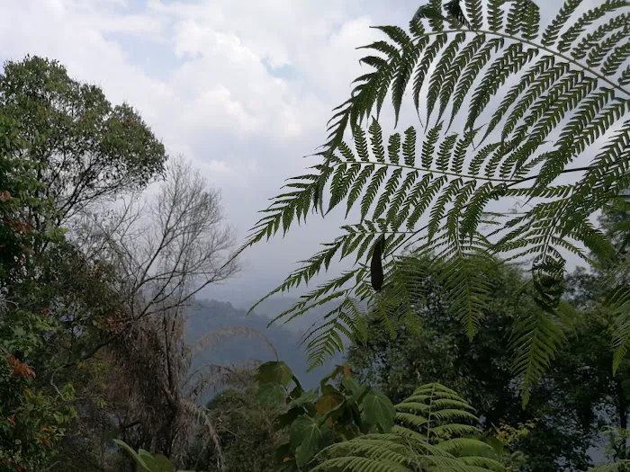 Bukit Chenuang Trailhead Picture 7