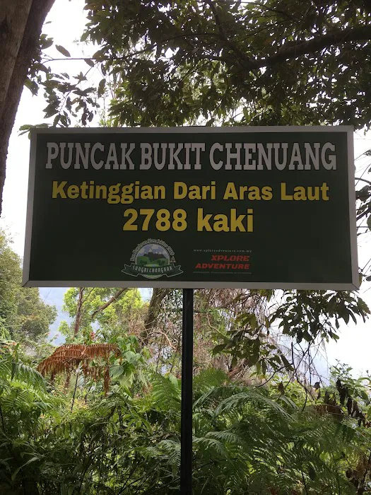 Bukit Chenuang Trailhead Picture 9