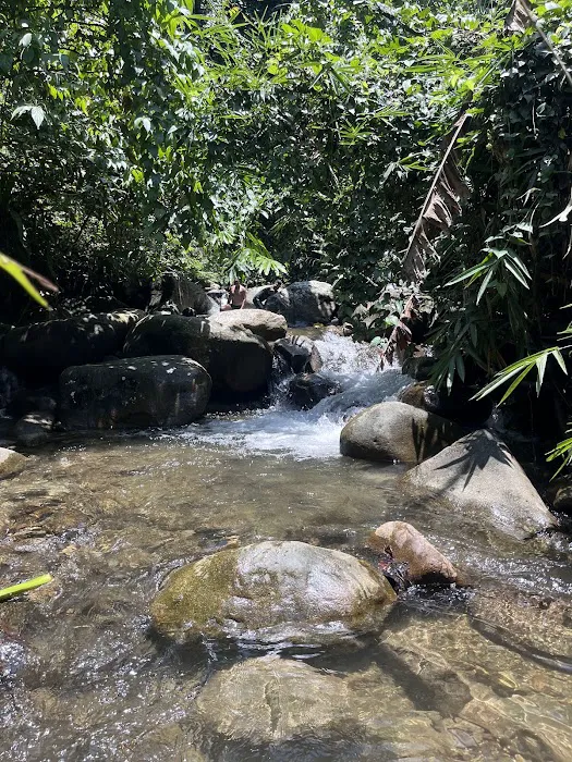 Hutan Terkutuk Picture 1