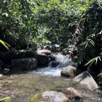 Hutan Terkutuk ico