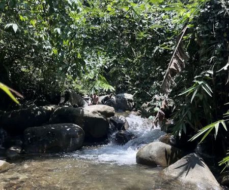 Hutan Terkutuk