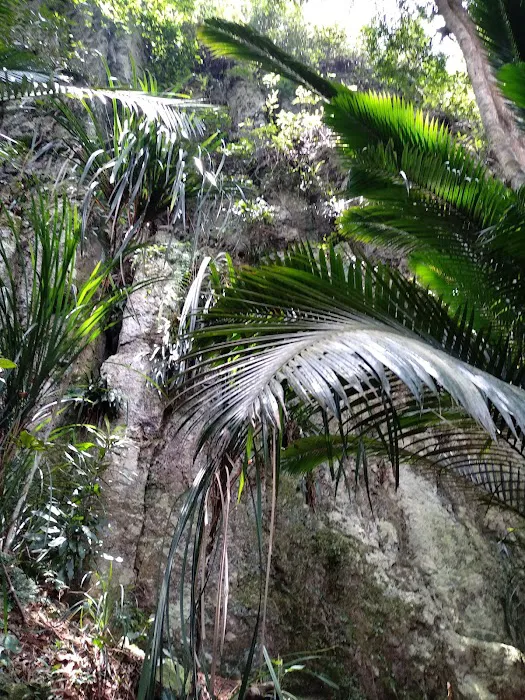 Bukit Batu Kumbang Picture 3