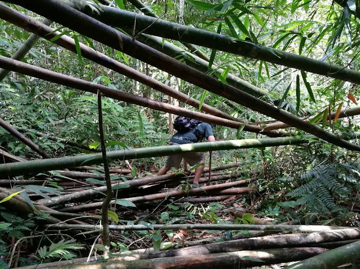 Bukit Batu Kumbang Picture 8